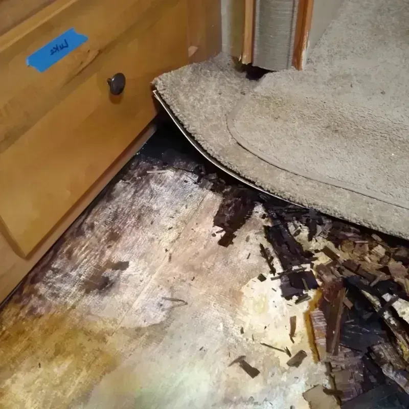 Best Wood Floor Water Damage Service in Jefferson County, AL